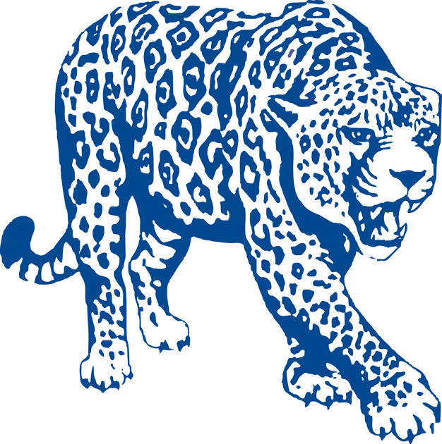 South Alabama Jaguars 1993-2007 Partial Logo t shirts DIY iron ons v2